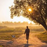 How Morning Walks Can Improve Well-Being